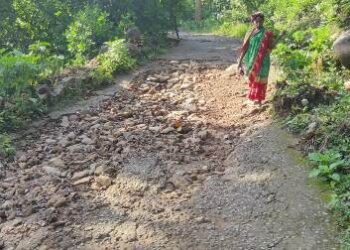 ମରଣୟନ୍ତାରେ ନୁଆଗଡ ରୁ ରାୟଗଡା ଜିଲ୍ଲା ସୀମାନ୍ତ ଅଞ୍ଜରସିଂ ଗ୍ରାମର ରାସ୍ତା : ଜିଲ୍ଲା ପ୍ରଶାସନଙ୍କ ଦୃଷ୍ଟି କେବେ ପଡିବ