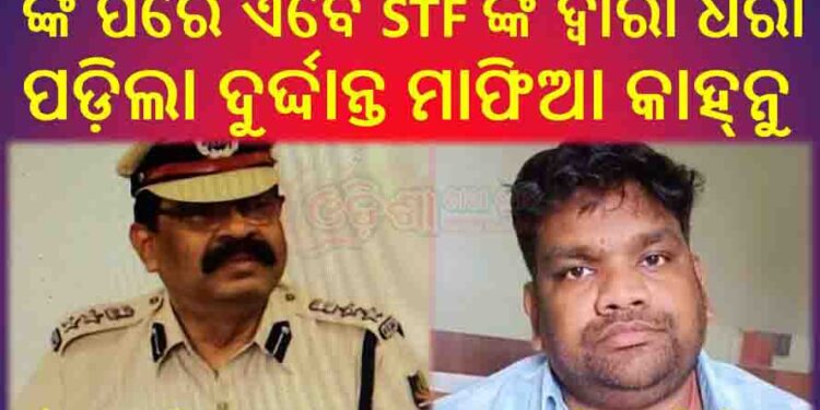 ମାଷ୍ଟର ମାଇଣ୍ଡ ଖେଳାଳି କାହ୍ନୁ ର ସରିନି ଠକେଇ ଖେଳ : ଲୁଚକାଳି ଖେଳ ଧରାପଡ଼ିଛି STF ଙ୍କ ହାତରେ