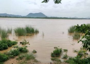ଗଜପତି : ବିପଦ ସଂକେତ ଉପରେ ବଂଶଧରା