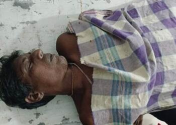 ବିଷଧର ସାପ କାମୁଡ଼ାରେ ଚାଷୀ ମୃତ