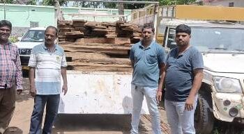 ମାଫିଆଙ୍କ ନିୟନ୍ତ୍ରଣରେ ବନବିଭାଗ : ୨ ପିକଅପ ଭ୍ୟାନରୁ ୧୫୫ଟି ଶାଗୁଆନ କାଠ ପଟା ଜବତ