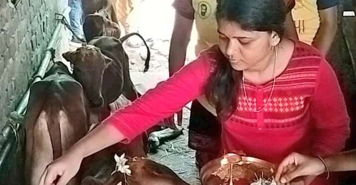 ଅନନ୍ୟା ଫାଉଣ୍ଡେସନ୍ ପକ୍ଷରୁ ଗୋ-ପୂଜନ କାର୍ଯ୍ୟ ଅନୁଷ୍ଠିତ
