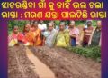 ଝାଡରଣ୍ଡିବା ଗାଁ କୁ ନାହିଁ ଭଲ ଚଲା ରାସ୍ତା ମରଣ ଯନ୍ତା ପାଲଟିଛି ରାସ୍ତା ; କାହିଁକି ଦୃଷ୍ଟି ପଡୁନି ନେତାମନ୍ତ୍ରୀ ଙ୍କ ନଜର ?