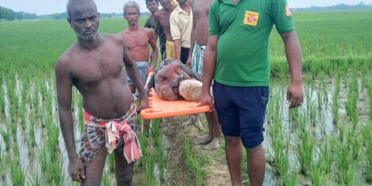 ରୋଗୀଙ୍କୁ ୫ କି.ମି ଷ୍ଟ୍ରେଚରରେ ବୋହି ଆଣିଲେ ୧୦୮ ଆମ୍ବୁଲାନ୍ସ କର୍ମଚାରୀ