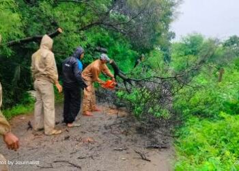 ଲଗାଣ ବର୍ଷା ଯୋଗୁଁ ଗଛ ପଡ଼ି ରାସ୍ତା ଅବରୋଧ