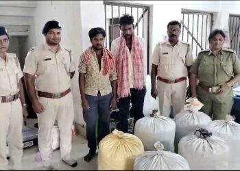 ଦେଢ଼ କ୍ୟୂଣ୍ଟାଲ ଗଞ୍ଜେଇ ଜବତ ୨ ଗିରଫ : ମାଷ୍ଟର ମାଇଣ୍ଡ ଫେରାର