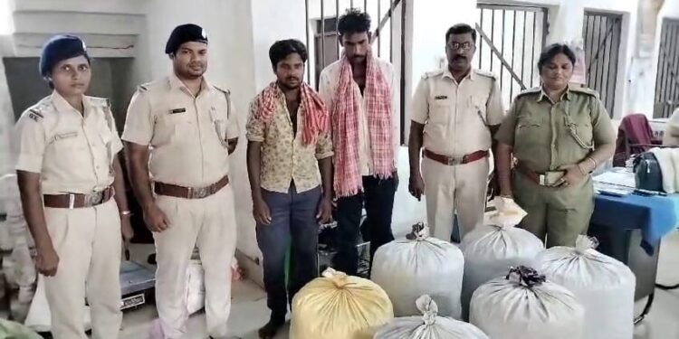 ଦେଢ଼ କ୍ୟୂଣ୍ଟାଲ ଗଞ୍ଜେଇ ଜବତ ୨ ଗିରଫ : ମାଷ୍ଟର ମାଇଣ୍ଡ ଫେରାର