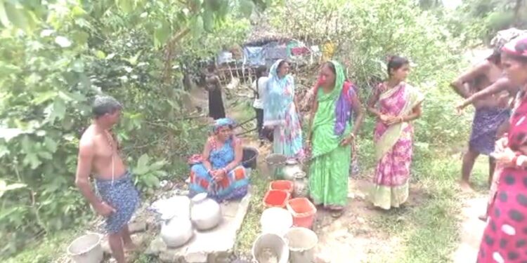ଲିଙ୍ଗିପୁର ପଂଚାୟତ ଖୋଦ ରାଜଧାନୀରେ ପାଣି ପାଇଁ ଡହଳବିକଳ ବସୁଧା ଯୋଜନା ଫେଲ ବିଦ୍ୟୁତ ବିଲ୍ ପଇଠ ନକରିବାରୁ ଲୋକେ ହନ୍ତସନ୍ତ ନିର୍ବାଚନ ପରେ କାଶିଆ କିଏ କପିଳା କିଏ …?