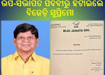 ସୌମ୍ୟ ରଞ୍ଜନ ପଟ୍ଟନାୟକଙ୍କ ବିରୋଧରେ କାର୍ଯ୍ୟାନୁଷ୍ଠାନ : ଉପ-ସଭାପତି ପଦବୀରୁ ହଟାଇଲେ ବିଜେଡ଼ି ସୁପ୍ରିମୋ