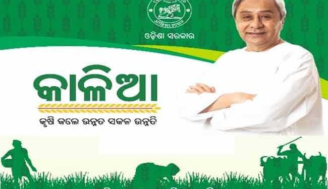 ଆଜି ପର୍ଯ୍ୟନ୍ତ କାଳିଆ ଯୋଜନାରେ ଚାଷୀ ମାନଙ୍କୁ ୧୨,୫୦୦ କୋଟି ଟଙ୍କା ସହାୟତା ଦିଆ ଯାଇଛି – ମୁଖ୍ୟମନ୍ତ୍ରୀ