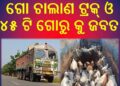 ରାଇରଙ୍ଗପୁର ଗ୍ରାମାଞ୍ଚଳ ପୋଲିସ ଦ୍ବାରା ଗୋ ଚାଲାଣ ଟ୍ରକ୍ ଓ ୪୫ ଟି ଗୋରୁ କୁ ଜବତ