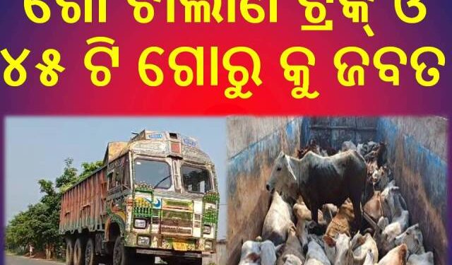 ରାଇରଙ୍ଗପୁର ଗ୍ରାମାଞ୍ଚଳ ପୋଲିସ ଦ୍ବାରା ଗୋ ଚାଲାଣ ଟ୍ରକ୍ ଓ ୪୫ ଟି ଗୋରୁ କୁ ଜବତ