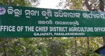 ଗଜପତିଜିଲ୍ଲାରପାରଳାଖେମୁଣ୍ଡି ସମେତ ବିଭିନ୍ନ ସ୍ଥାନରେସାରର କଳା ବଜାର ଅଭିଯୋଗ ତଦନ୍ତ ପାଇଁ ଦାବୀ