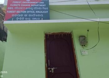 ବାରହା ମାଂସ ବିକ୍ରି ଅଭିଯୋଗ : ବନ୍ୟପ୍ରାଣୀ ଅସୁରକ୍ଷିତ