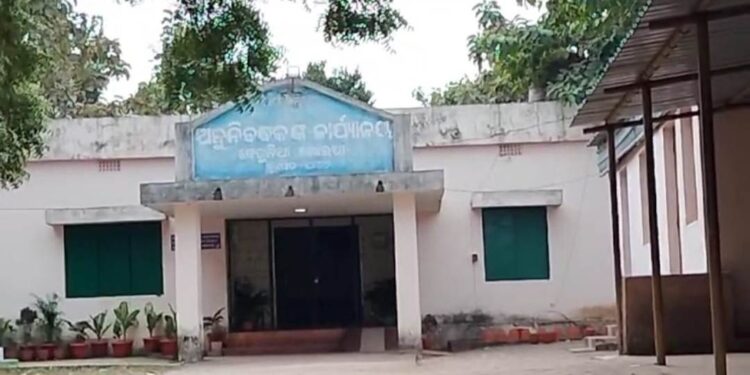 ସ୍ଲଗ – ସବ୍ ରେଜିଷ୍ଟାର ଅଫିସରୁ ଗଛ କଟା ନେଇ ସାଧାରଣରେ ଅସନ୍ତୋଷ