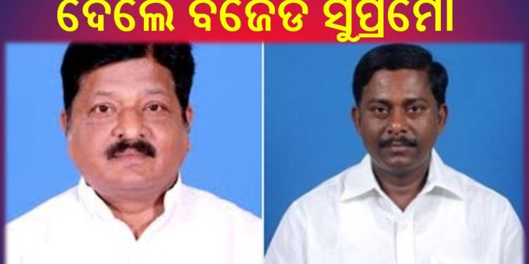 ବିଜେଡି ପକ୍ଷରୁ ୨ ଜିଲା ପାଇଁ ନୂଆ ପର୍ଯ୍ୟବେକ୍ଷକ ନିଯୁକ୍ତ : ପ୍ରତାପ ଓ ସଞ୍ଜୟ 