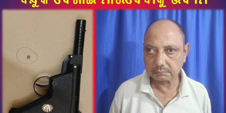 ଜମିବାଡିକୁ କେନ୍ଦ୍ରକରି ସାନଭାଇ ବଡ଼ ଭାଇକୁ ବନ୍ଧୁକ ଦେଖାଇ ମାରିଦେବାକୁ ଉଦ୍ୟମ ଅଭିଯୋଗରେ ଗିରଫ