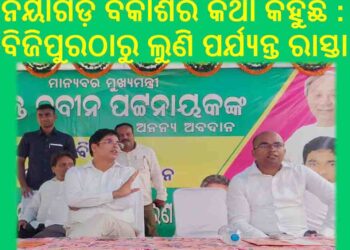 ନୟାଗଡ଼ ପାଟୁଳିସାହି ରାସ୍ତା ଉନ୍ନତୀକରଣ ପାଇଁ ଶିଳାନ୍ୟାସ