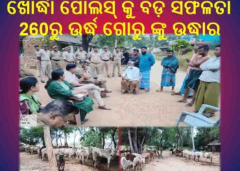 ଖୋର୍ଦ୍ଧା ପୋଲିସ୍ କୁ ବଡ଼ ସଫଳତା : 260ରୁ ଉର୍ଦ୍ଧ ଗୋରୁ ଙ୍କୁ ଉଦ୍ଧାର