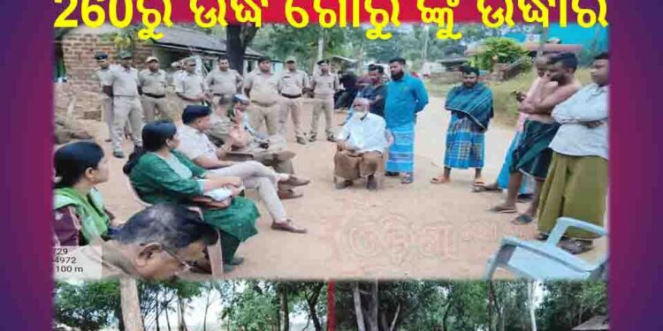 ଖୋର୍ଦ୍ଧା ପୋଲିସ୍ କୁ ବଡ଼ ସଫଳତା : 260ରୁ ଉର୍ଦ୍ଧ ଗୋରୁ ଙ୍କୁ ଉଦ୍ଧାର