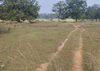ଡ଼ଙ୍ଗବାହାଲ ଗାଁରେ ମନରେଗା ଦୁର୍ନୀତି : ଜମି ମରାମତି ନାଁରେ ଖାଇଗଲେ ଲକ୍ଷାଧିକ ଟଙ୍କା