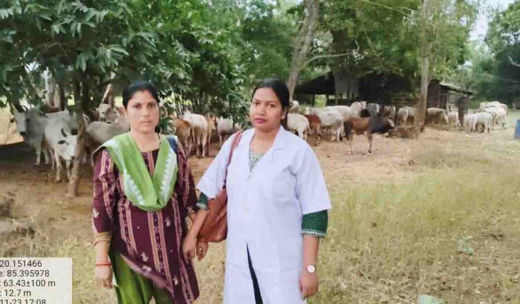ଖୋର୍ଦ୍ଧା ପୋଲିସ୍ କୁ ବଡ଼ ସଫଳତା : 260ରୁ ଉର୍ଦ୍ଧ ଗୋରୁ ଙ୍କୁ ଉଦ୍ଧାର