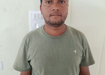ଭାଉଜଙ୍କୁ କୂଅକୁ ଠେଲିବା ଅଭିଯୋଗରେ ଦିଅର ଗିରଫ !