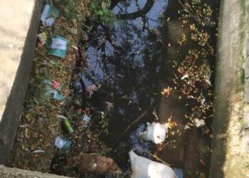 ପଚାସଢା ମାଂସ ଦୁର୍ଗନ୍ଧରେ ନାକ ଫାଟୁଛି