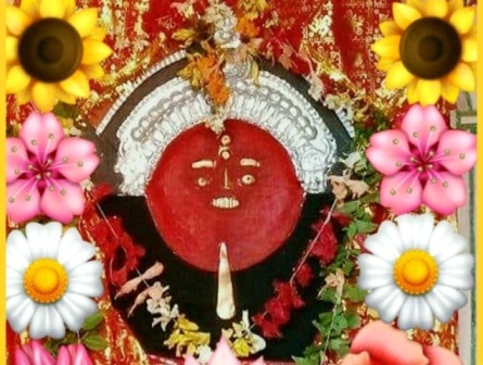 ଶ୍ରୀଶ୍ରୀଦକ୍ଷେଶ୍ଵର ଭଗବତୀ ମନ୍ଦିରରେ ନୂଆଁଖାଇ : ମା’ଙ୍କ ପାଖରେ ଲାଗି ହେଲା ” ନବାନ୍ନ”