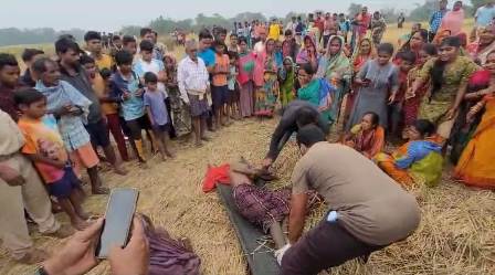 ହାତୀ ଆକ୍ରମଣରେ ଦୁଇ ମୃତ – ଖୋର୍ଦ୍ଧା