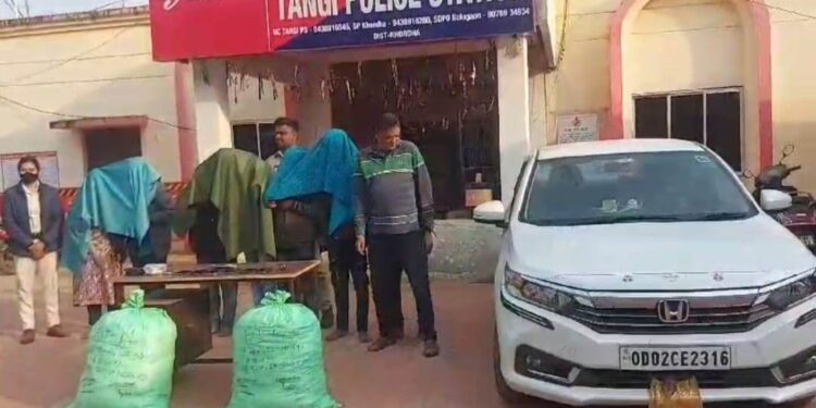 ଗଞ୍ଜେଇ ଚୋରା ଚାଲାଣ ବେଳେ ଜବତ : ୬ ଗିରଫ