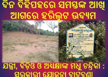 ଯନ୍ତ୍ରୀ, ବିଡ଼ିଓ ଓ ଅଧ୍ୟକ୍ଷାଙ୍କ ମଧୁ ଚନ୍ଦ୍ରିକା : ସରକାରୀ ଯୋଜନା ବାଟବଣା
