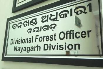 ହାତୀମୃତ