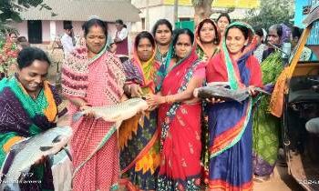 ରାମେଶ୍ବରରେ ମହାବୀର ସ୍ଵଂୟ ସହାୟକ ଗୋଷ୍ଠୀଙ୍କ ବାୟୋଫ୍ଲକ୍ ମତ୍ସ୍ୟ ଚାଷ
