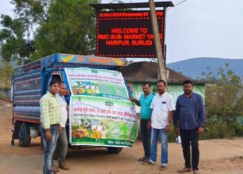 ଇ -ନାମ ମଣ୍ଡିରେ ବିଲାତି ବାଇଗଣ ବିକି ଚାଷୀ ଲାଭାନ୍ଵିତ