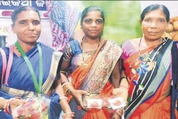 ଭୁବନେଶ୍ୱର ଆଦିବାସୀ ମେଳାରେ କନ୍ଧମାଳ ଷ୍ଟ୍ରବେରି ର ଚାହିଦା ବୃଦ୍ଧି