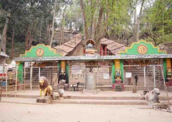 ଗୁପ୍ତେଶ୍ଵର ଜଙ୍ଗଲକୁ ଜୈବବିବିଧ ଐତିହ୍ୟସ୍ଥଳୀ ଭାବେ ଘୋଷଣା