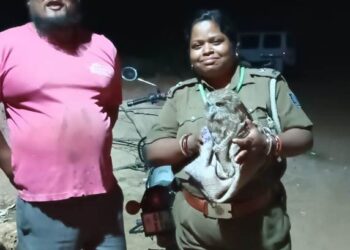 ବିରଳ ଗରୁଡ ପକ୍ଷୀ ଉଦ୍ଧାର