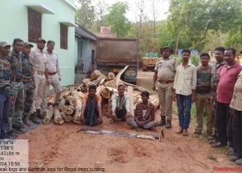 ବୈରୀ ଜଙ୍ଗଲ ବିଭାଗ ଦ୍ୱାରା ଲକ୍ଷାଧିକ ଟଙ୍କା ର ଚୋରା କାଠ ଜବତ