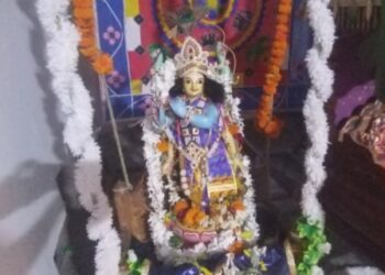ଡାହାଳିଆବାଗରେ ଗୋପାଳ ଜୀଉଙ୍କ ଝୁଲଣ ଯାତ୍ରା ଓ ବିଗ୍ରହ ପ୍ରତିଷ୍ଠା ଉତ୍ସବ ଅନୁଷ୍ଠିତ