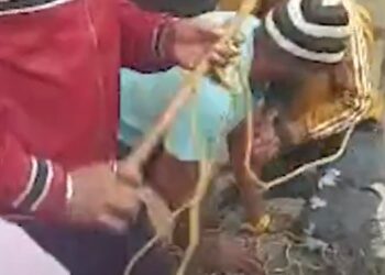 Wild boars entered many settlements in Yerwada : Seven to eight people were bitten.