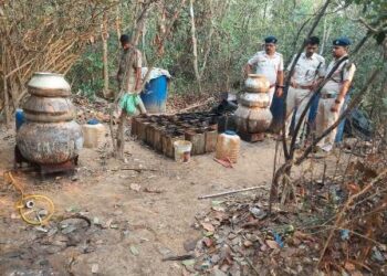 ଖୋର୍ଦ୍ଧା ଅବକାରୀ ବିଭାଗର ଚଢ଼ାଉ ବିପୁଳ ପରିମାଣର ମଦ ଜବତ
