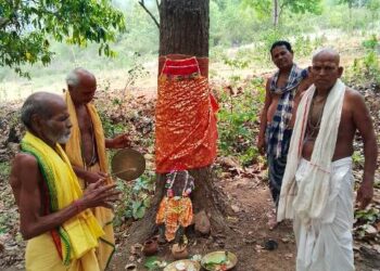 ପାଳିତ ହେଲା , ଧରୀତ୍ରୀ ଦିବସ