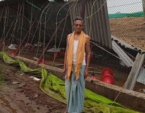 ଅଦିନିଆ ବର୍ଷା ଓ ପବନ ଯୋଗୁଁ ଦାନାମାଲ ଗାଁ ରେ ଭାଙ୍ଗିଲା କୁକୁଡ଼ା ଭାଡ଼ି – ଚିନ୍ତାରେ ଚାଷୀ