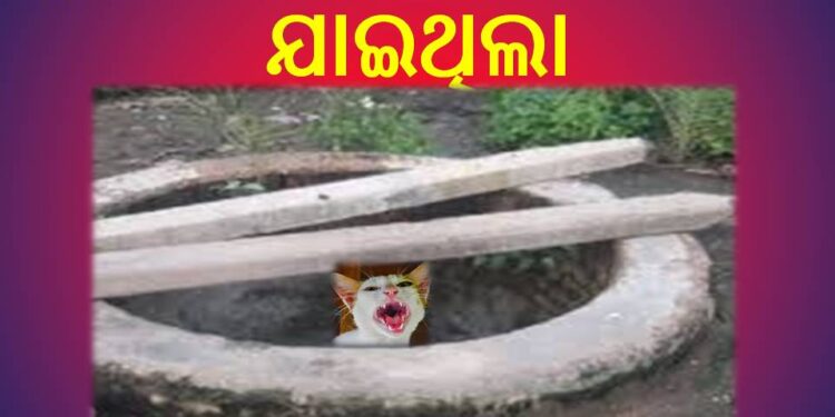 ନରେନ୍ଦ୍ରପୁର୍ ଗ୍ରାମପଞ୍ଚୟତ ଅଫିସରେ : ପାନୀୟ ଜଳ ଅଭାବ – ସାଧାରଣ ଜନତା ହନ୍ତସନ୍ତ