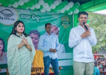 ଲୋକଙ୍କୁ ବିକାଶର ହିସାବ ଦେଲେ ପାଣ୍ଡିଆନ