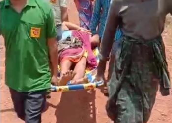 ଜଙ୍ଗଲ ରାସ୍ତାରେ ରୋଗୀଙ୍କୁ ୪ କି.ମି ବୋହିଆଣିଲେ ୧୦୮ ଆମ୍ବୁଲାନ୍ସ କର୍ମଚାରୀ