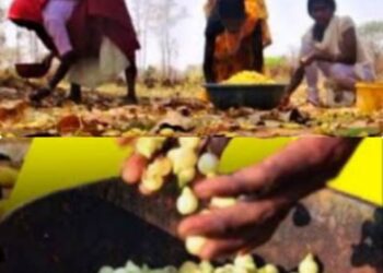 ମହୁଲ ଫୁଲର ଅଭାବୀ ବିକ୍ରି ଦଲାଲ ମାଲାମାଲ ; ସୁଖନିଦ୍ରାରେ ଅବକାରୀ ବିଭାଗ