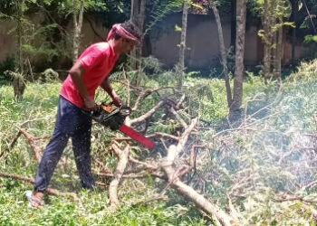 ରାୟଗଡ଼ା ଜିଲ୍ଲାପାଳଙ୍କ କାର୍ଯ୍ୟଳୟ ପରିସରରେ ନୂତନ କୋଠା ନିର୍ମାଣ କରିବା ପାଇଁ ଦୀର୍ଘ ୯ ବର୍ଷ ତଳେ ଲାଗିଥିବା ୬୦ ଟି ଅଁଳା ଗଛ ଗୁଡ଼ିକୁ କାଟି ଦେଲେ ଜିଲ୍ଲା ପ୍ରଶାସନ