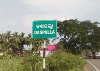 ରଜ ରେ ମଲା ଗଜରାଜ୍ : ଅସୁସ୍ଥତା ଯୋଗୁ ମରିପଡ଼ିଥିଲା